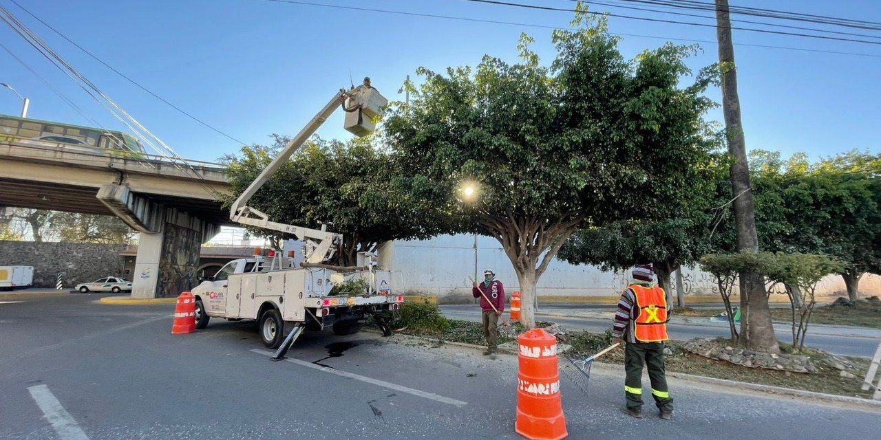 Lleva Servicios Municipales limpieza integral a bajo puente de Anenecuilco