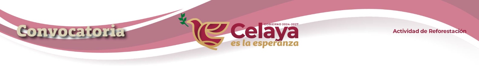 Convocatoria: Actividad de Reforestación