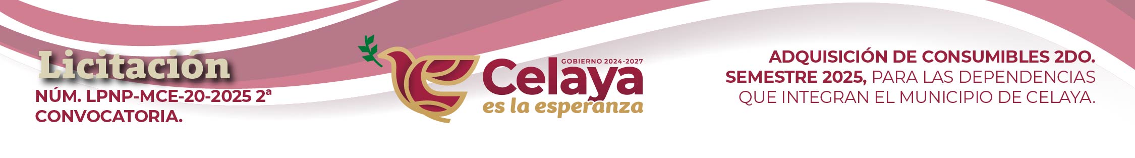 Cintillos 2 enero 2026-01 (1)