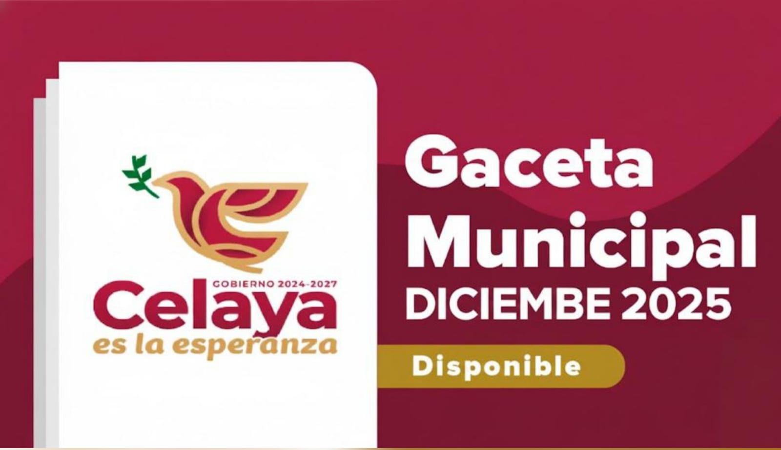 https://www.celaya.gob.mx/wp-content/uploads/2026/01/gaseta.jpg