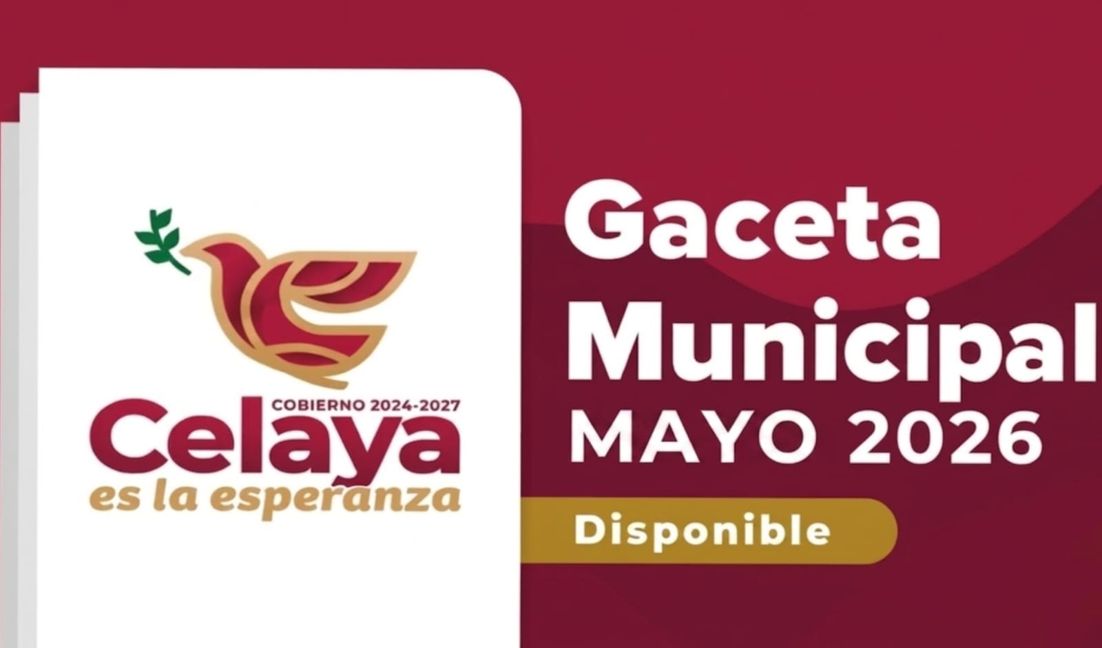 https://www.celaya.gob.mx/wp-content/uploads/2026/06/WhatsApp-Image-2026-06-10-at-3.24.41-PM.jpeg